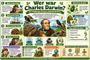 Deutsche Infografik: Wer war Charles Darwin? Naturbeobachtung, Beagle-Reise und wichtige Lebensdaten