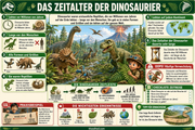 Dinosaurier und Fossilien – Infografik 1 aus dem Lernpaket von Edhed Learning