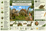 Dinosaurier und Fossilien – Infografik 2 aus dem Lernpaket von Edhed Learning