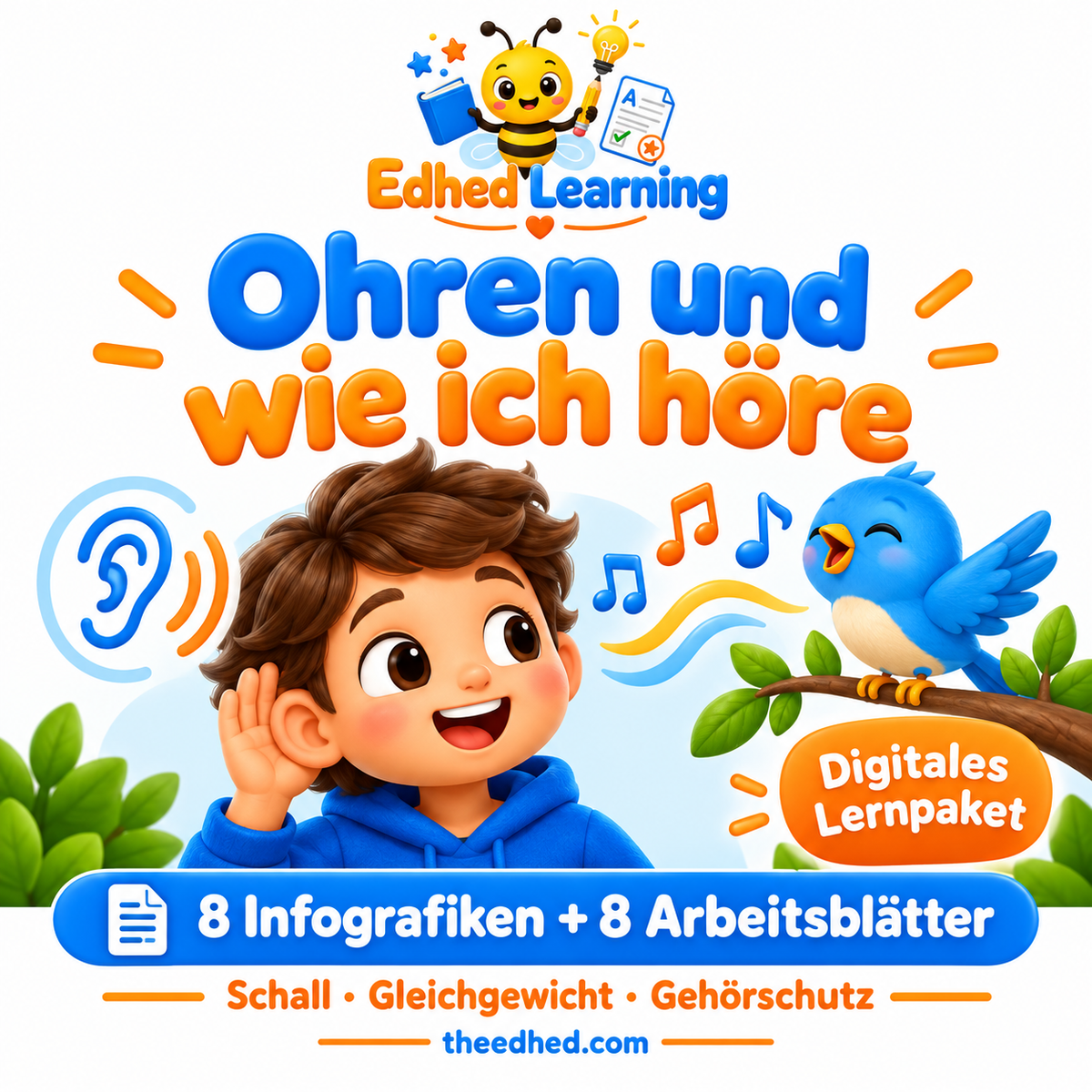 Ohren und wie ich höre – 8 Infografiken + 8 Arbeitsblätter – Edhed Learning