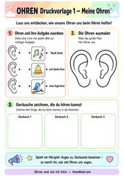 Ohren und wie ich höre – Arbeitsblatt 1 aus dem Lernpaket von Edhed Learning