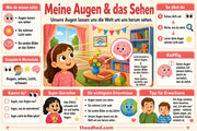 Augen und wie ich sehe – Infografik 1 aus dem Lernpaket von Edhed Learning