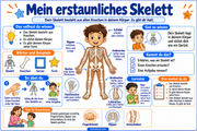 Deutsche Infografik: Mein erstaunliches Skelett – Knochen und ihre Aufgaben