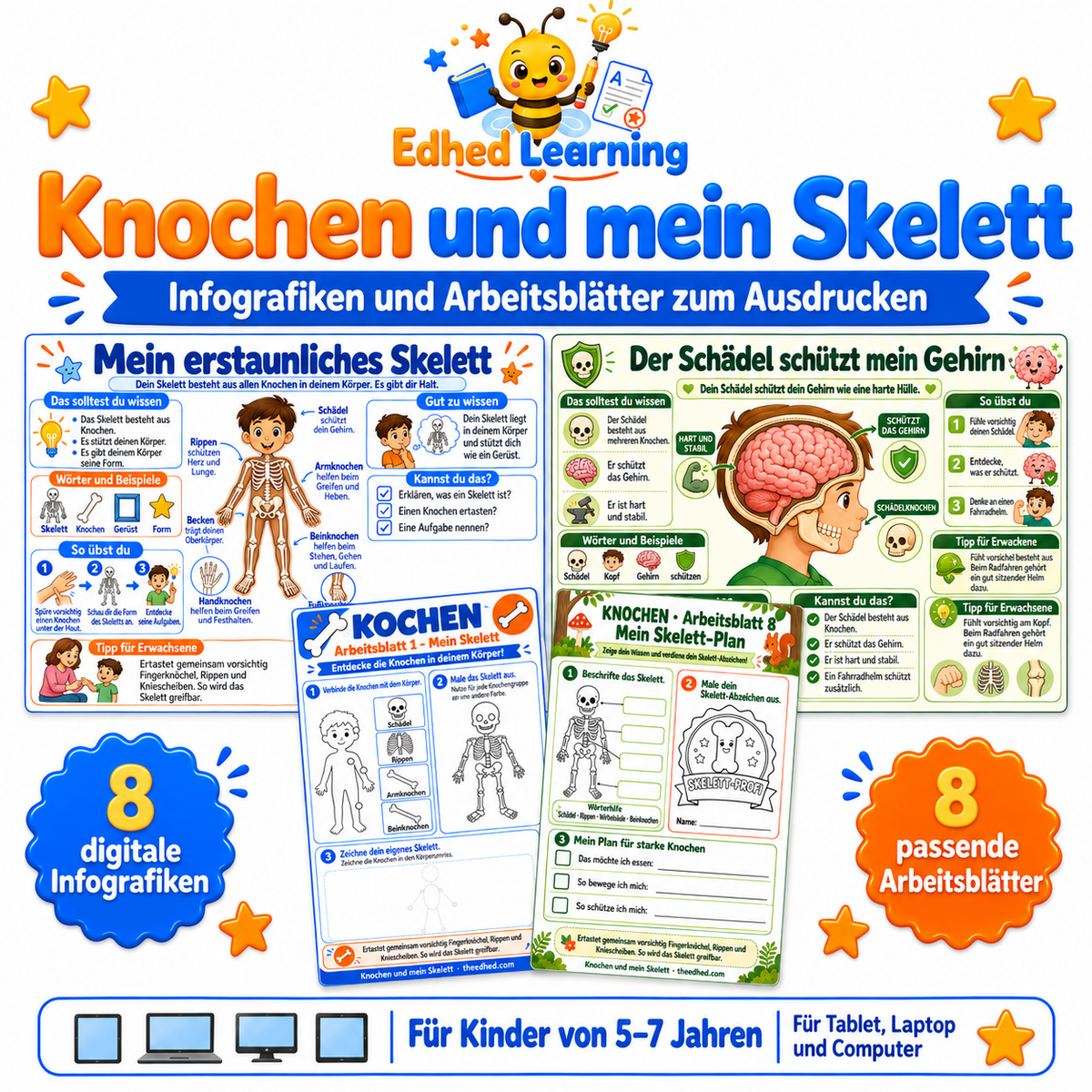 Knochen und mein Skelett: 8 deutsche Infografiken und 8 Arbeitsblätter für Kinder von 5 bis 7 Jahren