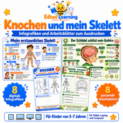 Knochen und mein Skelett: 8 deutsche Infografiken und 8 Arbeitsblätter für Kinder von 5 bis 7 Jahren