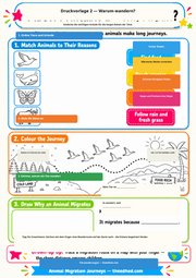 Tierwanderungen – Arbeitsblatt 2 aus dem Lernpaket von Edhed Learning