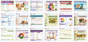 Collection of educational posters on a white background