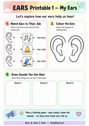 My Ears matching and drawing printable worksheet for children ages 6 to 8