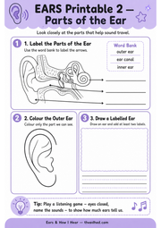 Parts of the Ear labelling and colouring printable worksheet for children ages 6 to 8