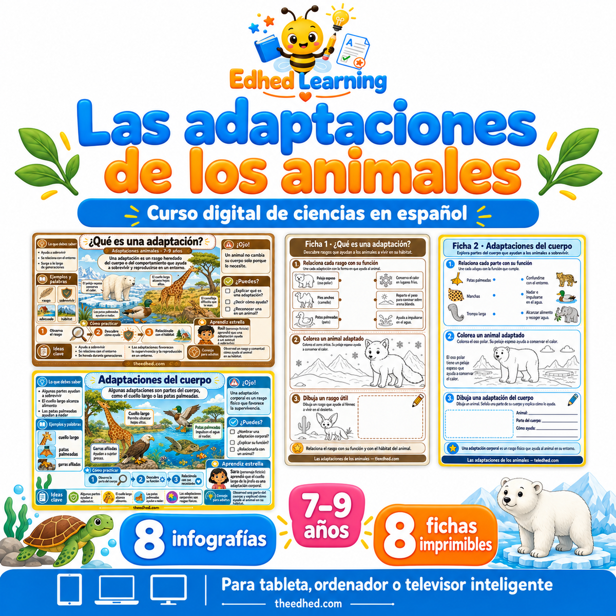 Las adaptaciones de los animales: curso en español para 7–9 años con 8 infografías y 8 fichas imprimibles.