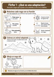Ficha imprimible 1 en español: relacionar adaptaciones, colorear un zorro ártico y dibujar un rasgo útil.
