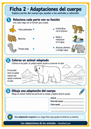 Ficha imprimible 2 en español: relacionar partes del cuerpo con su función, colorear y dibujar.