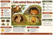 Infografía en español: cada animal tiene un hogar, con nido, madriguera, guarida y colmena.