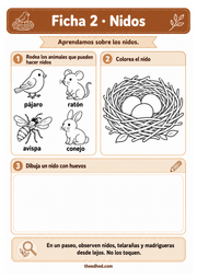 Ficha 2 en español sobre nidos: reconocer animales, colorear un nido y dibujar huevos.