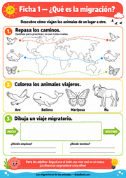 Ficha imprimible en español para repasar caminos, colorear animales migratorios y dibujar un viaje.