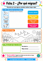Ficha imprimible en español para relacionar animales con motivos de migración, colorear y completar una actividad.