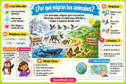 Infografía en español sobre los motivos de la migración: alimento, condiciones favorables y lugares de cría.