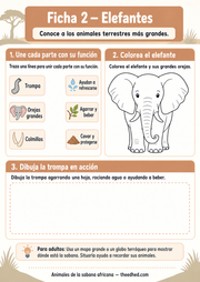 Ficha imprimible en español para relacionar las partes del elefante con sus funciones, colorear y dibujar.