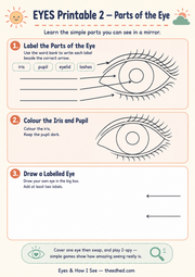 Parts of the Eye labelling colouring and drawing printable worksheet
