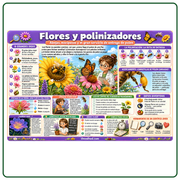 Infografía educativa en español sobre flores, abejas y polinización