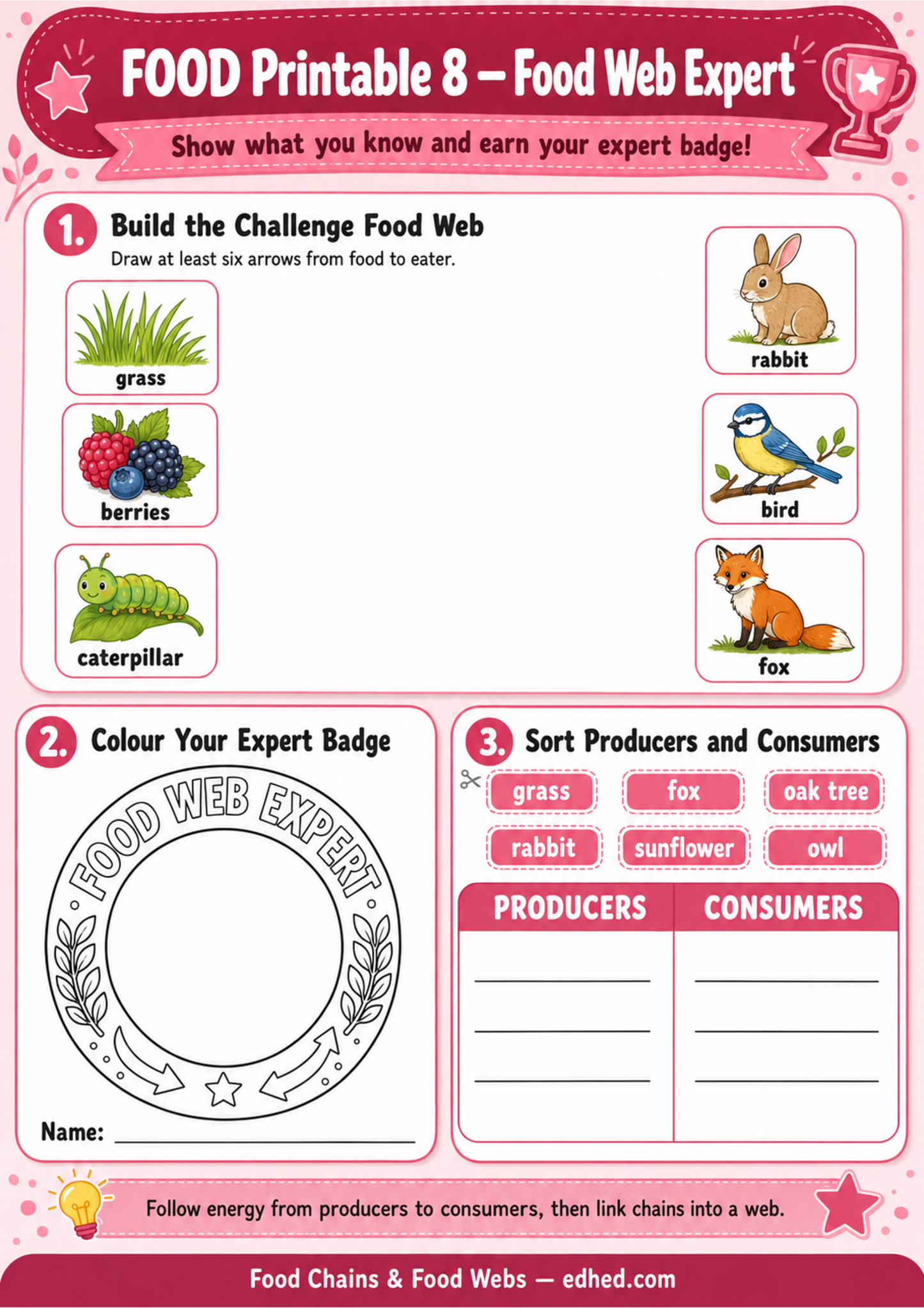 Food Web Expert printable worksheet with producer and consumer sorting activities