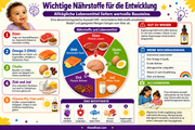 Wichtige Nährstoffe für die Entwicklung – deutsche Infografik