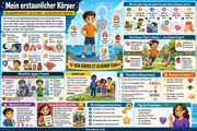 Infografik 1 aus dem Lernpaket Gesundheit und mein Körper – Edhed Learning