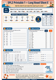 Printable Grade 2 long vowel silent E spelling worksheet