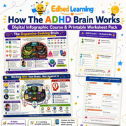 Edhed Learning How The ADHD Brain Works digital course product image