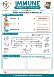 Skin Barrier matching colouring and drawing A4 printable worksheet for children
