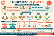 Infografía corregida en español sobre plurales con -s y -es para estudiantes de 1.º grado