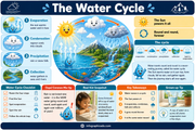 Weather infographic 1 preview from the kids science discovery bundle