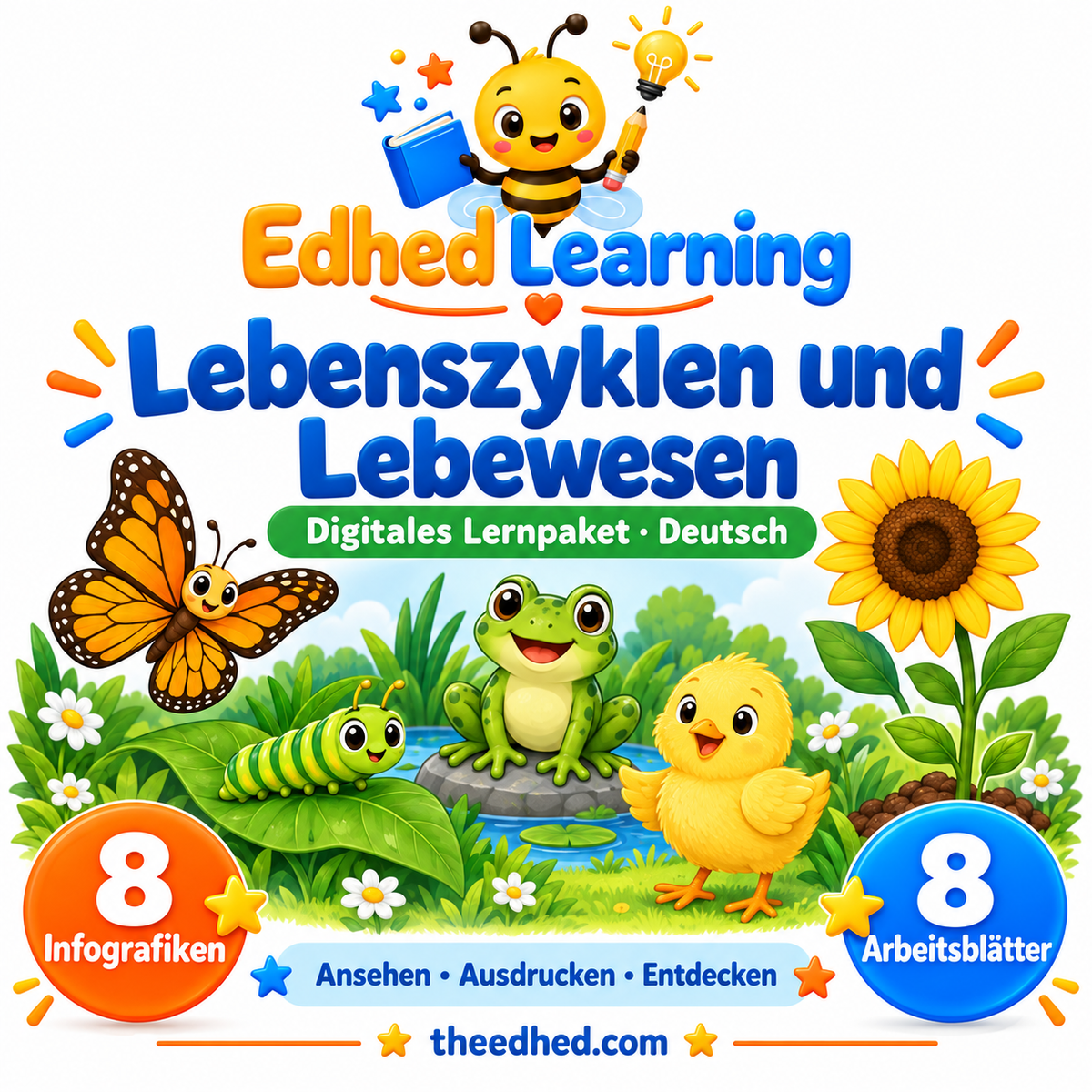 Edhed Learning Lernpaket Lebenszyklen und Lebewesen mit 8 Infografiken und 8 Arbeitsblättern