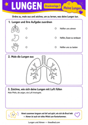 Arbeitsblatt 1 aus dem Lernpaket Lungen und Atmen – Edhed Learning