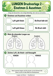 Arbeitsblatt 2 aus dem Lernpaket Lungen und Atmen – Edhed Learning
