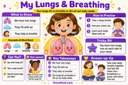 My Lungs and Breathing educational infographic for children ages 6 to 8