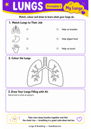 My Lungs matching colouring and drawing worksheet for ages 6 to 8