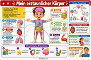 Infografik 1 aus dem Lernpaket Mein erstaunlicher Körper – Edhed Learning