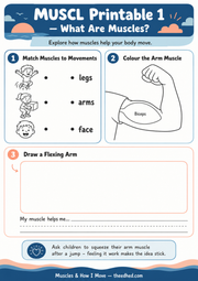 What Are Muscles printable activity worksheet with matching colouring and drawing tasks