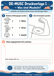 Arbeitsblatt 1 aus dem Lernpaket Muskeln und Bewegung – Edhed Learning