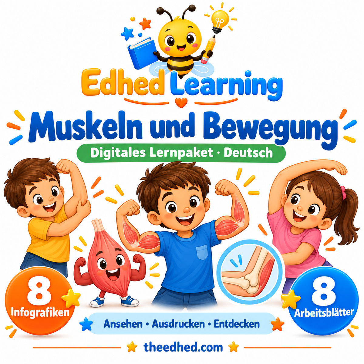 Edhed Learning Lernpaket Muskeln und Bewegung mit 8 Infografiken und 8 Arbeitsblättern