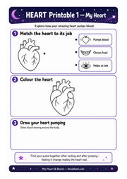 My Heart printable worksheet with matching colouring and drawing activities