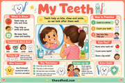 My Teeth educational infographic showing how teeth help children bite, chew, speak and smile