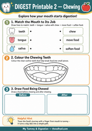 Chewing printable digestion worksheet for ages 6–8