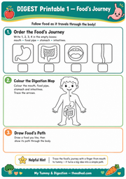 Food’s Journey printable digestion worksheet for ages 6–8