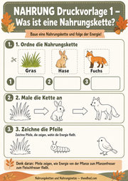 Arbeitsblatt 1 aus dem Lernpaket Nahrungsketten und Nahrungsnetze – Edhed Learning
