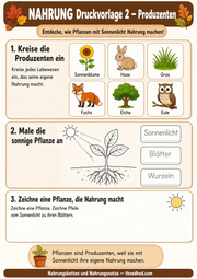 Arbeitsblatt 2 aus dem Lernpaket Nahrungsketten und Nahrungsnetze – Edhed Learning