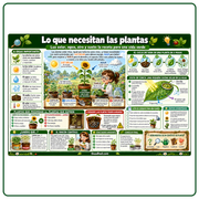 Infografía en español sobre lo que necesitan las plantas para crecer