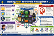 ADHD Brain infographic 8 preview from the neurodivergent focus regulation bundle