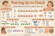 Pairing Up to Check kids maths educational infographic - Odd & Even Numbers course